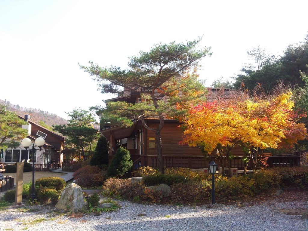 평창 Bench House 빌라 외부 사진