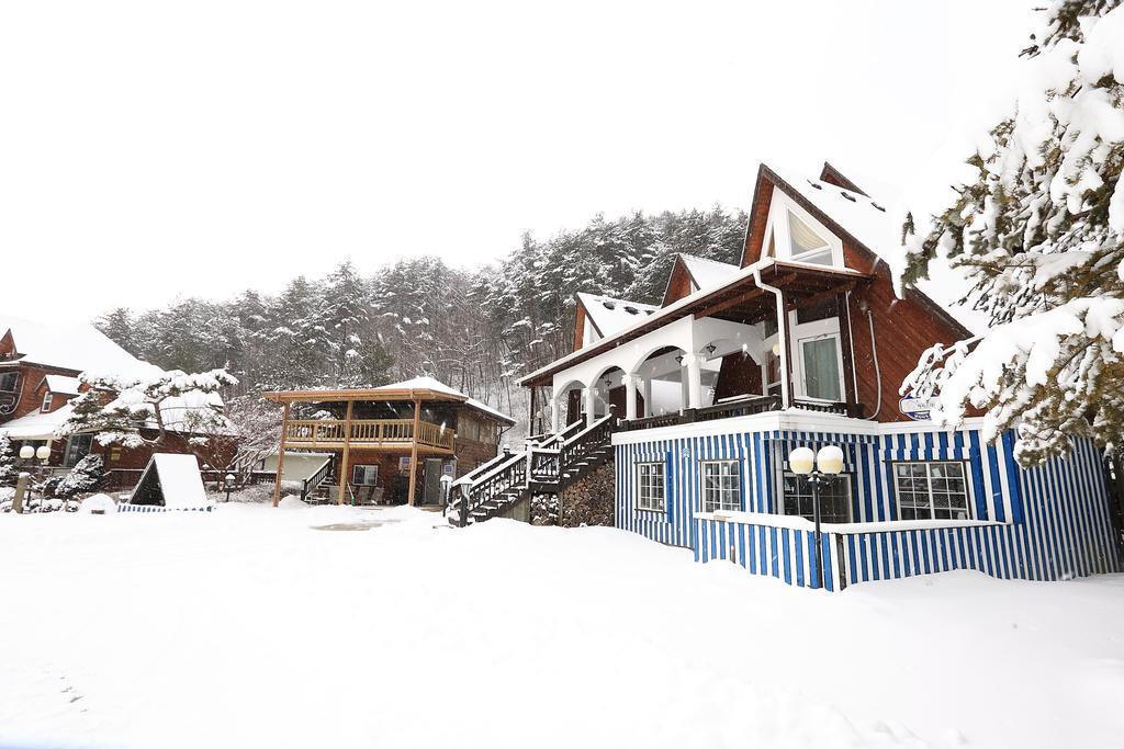 평창 Bench House 빌라 외부 사진